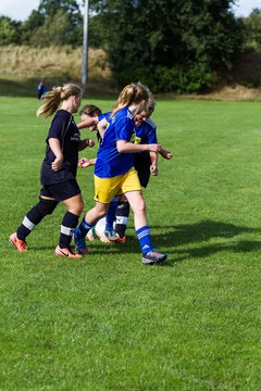 Bild 396 - Frauen TSV Gnutz - SG S�lfeld/Oe/Se/Stu : Ergebnis: 2:3